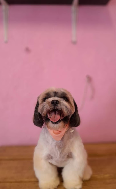 Negocio Pet Grooming Estética Canina