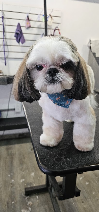 Negocio Pet House Acuario, Grooming Y Accesorios