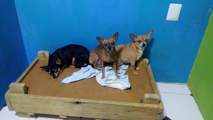 Pet House Hotel