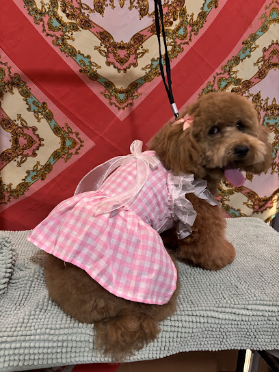 Pet In Style