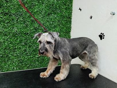 Negocio Pet Pelu Paws Estética Canina Spa Y Pet Shop