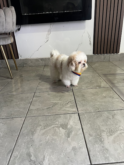 Negocio Pet Place Estética Canina Y Felina