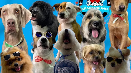 Pet-SalĂłn