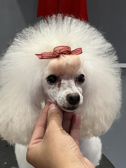 Pet Salon Alamos