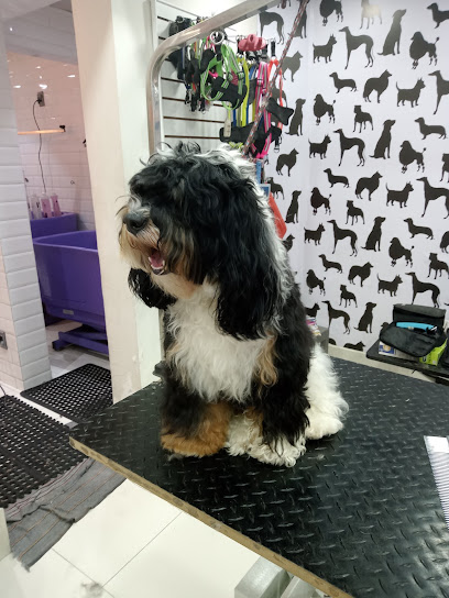 Pet Society Prado Norte