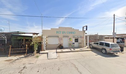 Pet Spa Canino