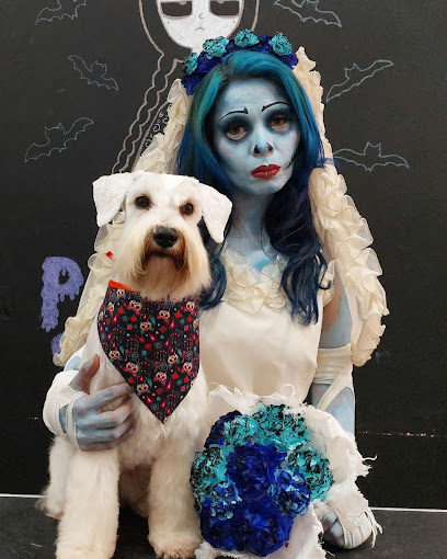 Negocio Pet Spa Estética Canina Orizaba