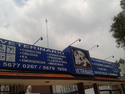 Pet&Apos;S Coapa Boutique