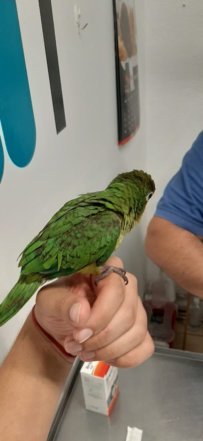 Negocio Pet&Apos;S Home Clínica Veterinaria