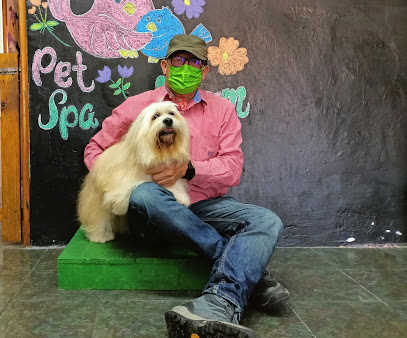 Pet&Apos;Spa