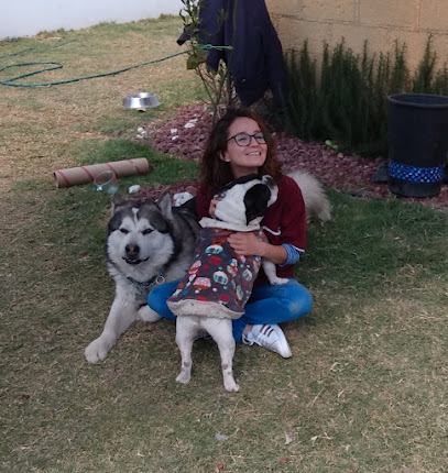 Petcare Veterinaria