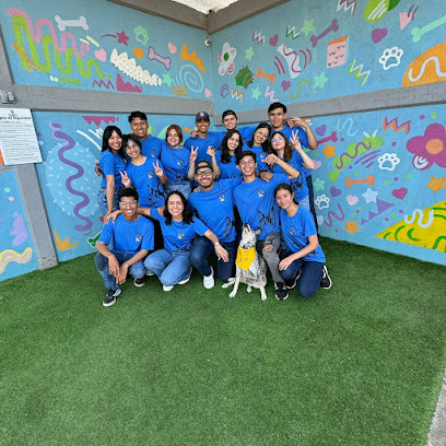 Negocio Petclub Mx Suc 20 Nov (Hotel/ Estetica Canina/ Consultorio Veterinario)