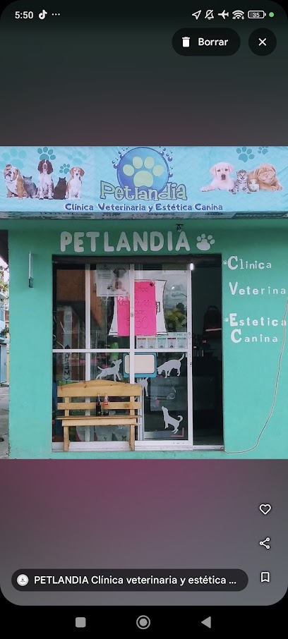 Petlandia ClĂnica Veterinaria Y EstĂ©tica Canina