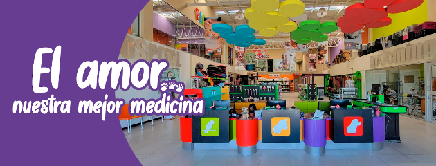 Pets Care | Veterinario 24 Horas En Saltillo | Traumatólogo Veterinario En Saltillo