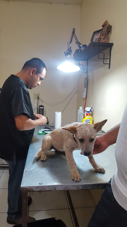 Pets Veterinaria