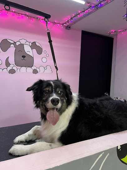 Negocio Pets&Amp;Girls- Estetica Canina, Hospedaje Canino, Petshop