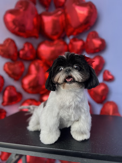 Petspa