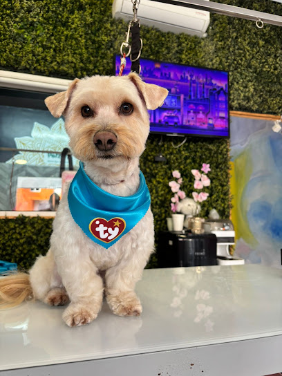 Petzone Spa Hotel &Amp; Market