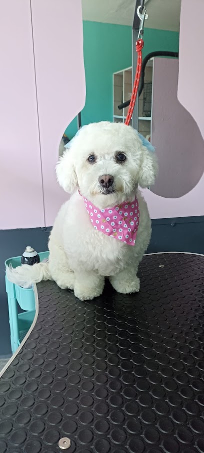 Pingos Estetica Canina