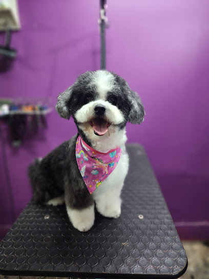 Pinka Pets Estética Canina