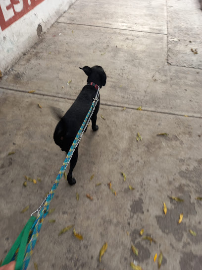 Poder Perruno