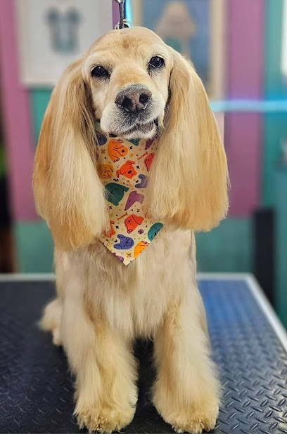 Posh Dog