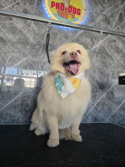 Pro-Dog Estetica Canina