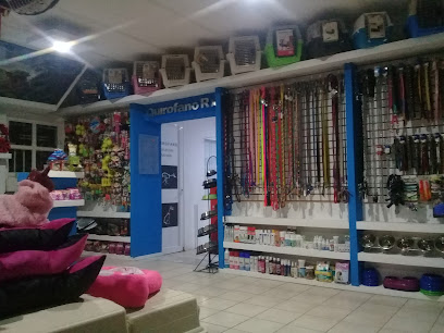 Negocio Profesional Can