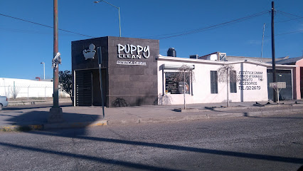 Negocio Puppy Clean
