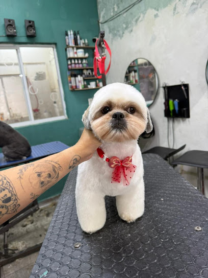 Que Chulos Perros Estética Canina