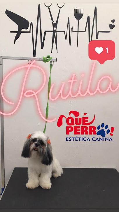 Que Perro
