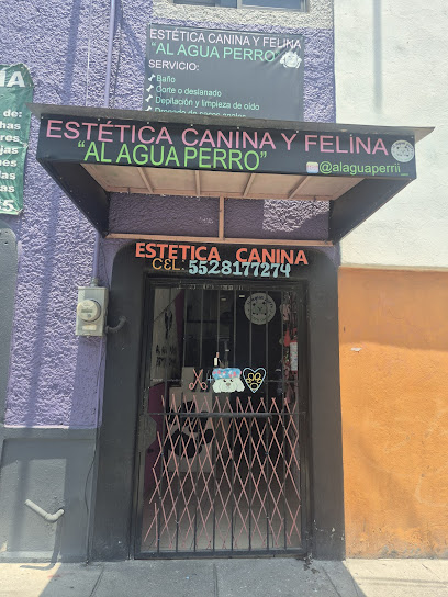 &Quot;Al Agua Perro&Quot; Estética Canina