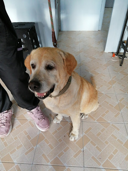 &Quot;Pet Clean&Quot; Veterinaria Y Estética Canina