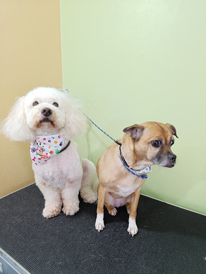 &Quot;Relaxadog&Quot; Estética Canina