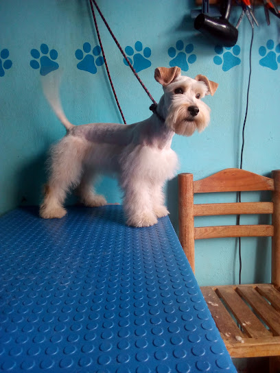 &Quot;Tina&Apos;A&Quot; Consultorio Veterinario Y Estética Canina/Felina