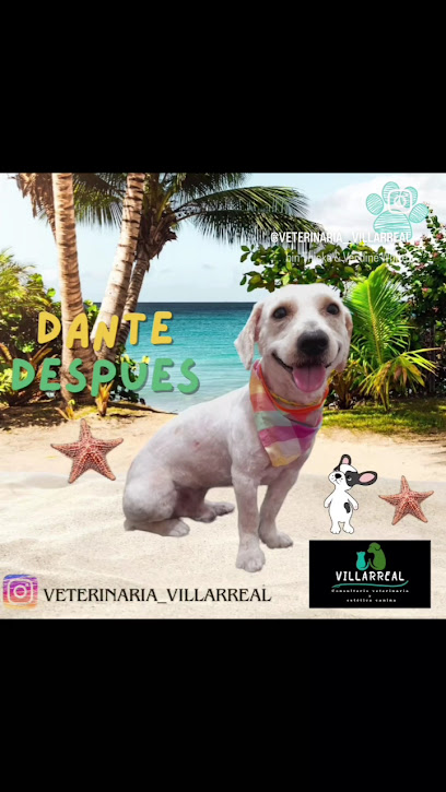 &Quot;Villarreal&Quot; Veterinaria &Amp; Estética Canina