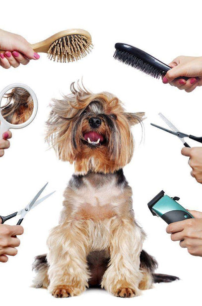 Negocio Ramonavet Estética Canina (Previa Cita Por Whatsapp)