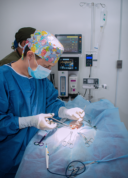 Reforvet Hospital Veterinario