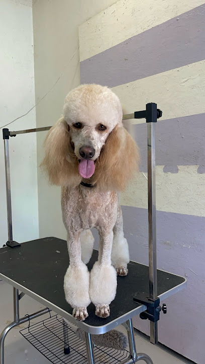 Sandoval Grooming Libertad