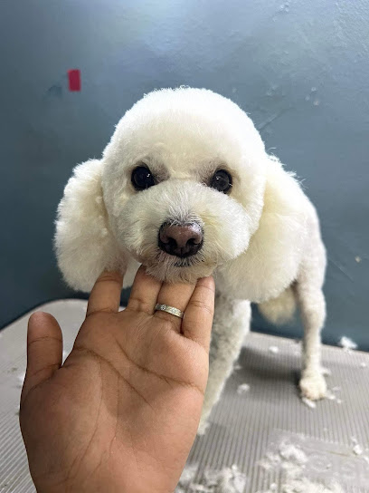Negocio Sayuri - Spa Canino