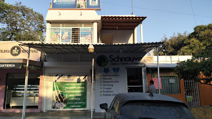 Negocio Schnauvet