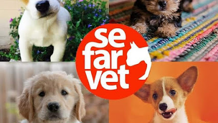 Sefarvet