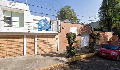 Servicio De Estética Canina