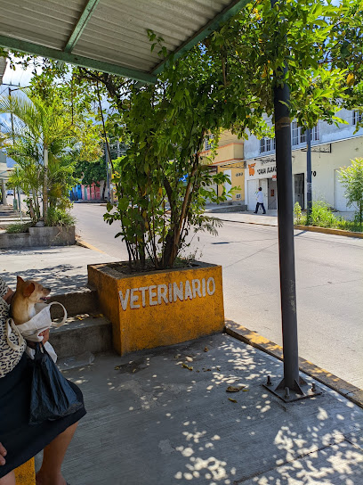 Servicio Medico Veterinario &Quot;La Ranita&Quot;