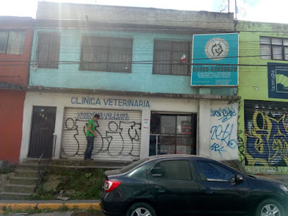 Servicio Veterinario Estética Canina
