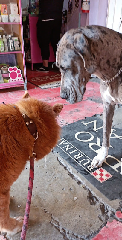 Servicio Veterinario