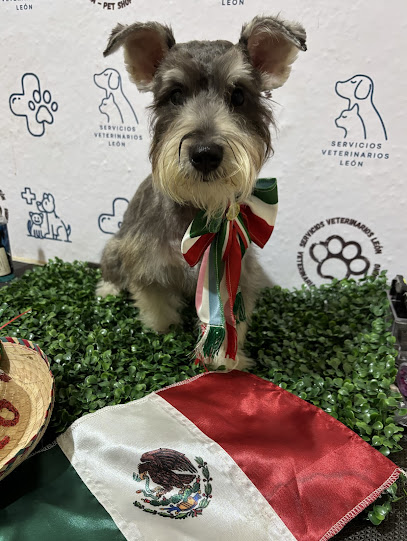 Servicios Veterinarios León