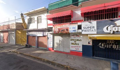 Small Dog Servicio Veterinario