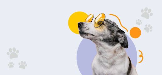 Smart Dogs