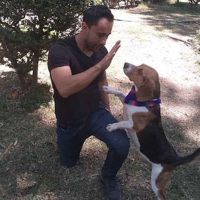 Smart Pet